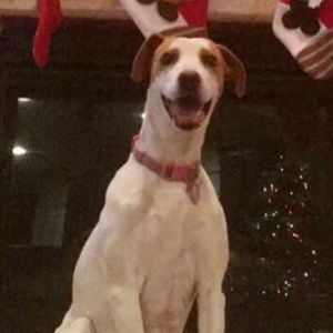 Meet your Posher, Logan